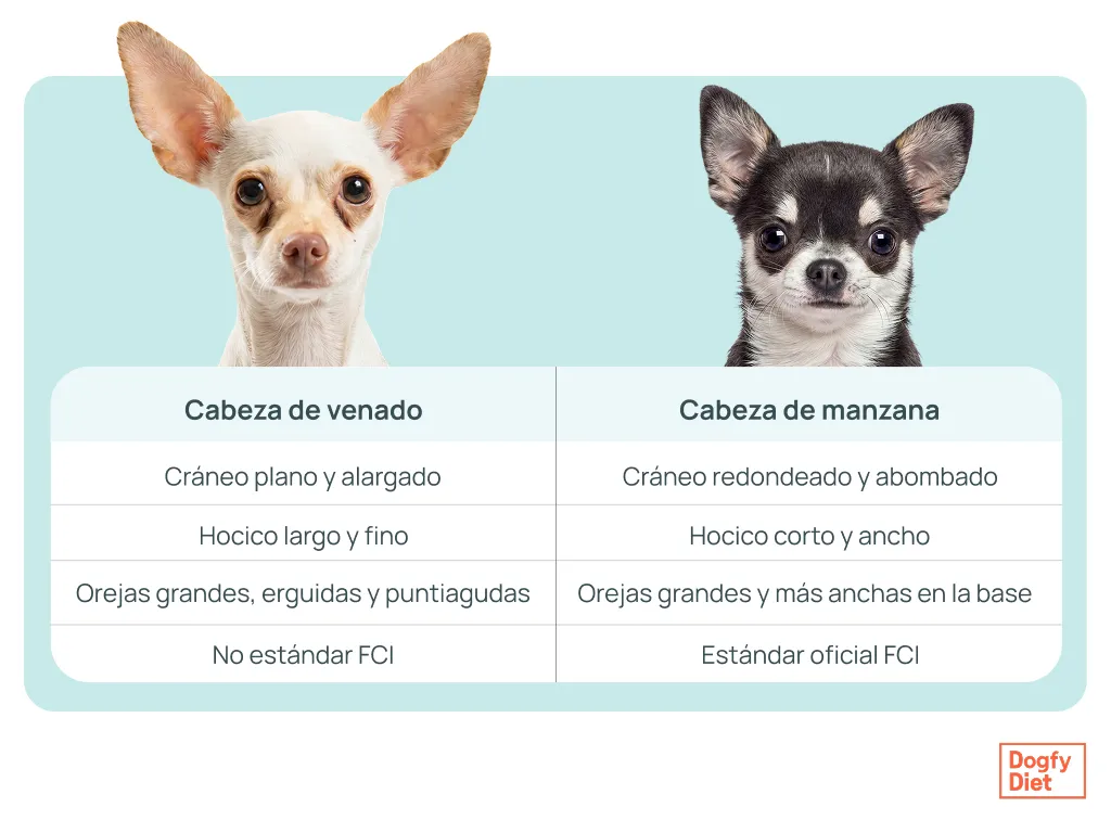 cabeza de venado vs cabeza de manzana